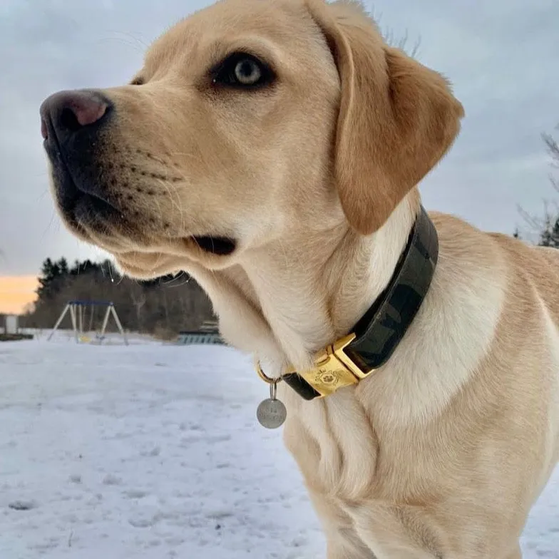 Camo Collar