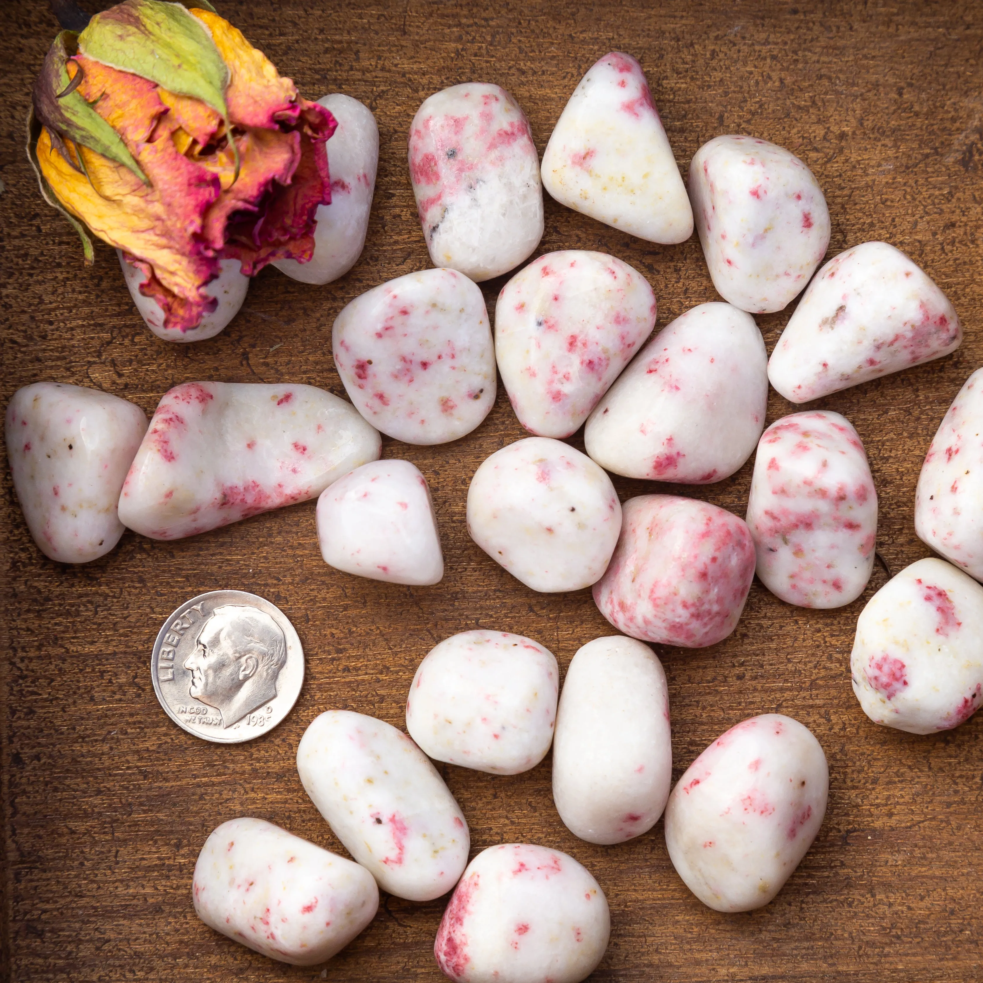 Cinnabite - (Cinnabar in Scapolite Matrix)- Polished, A Grade, Tumbled