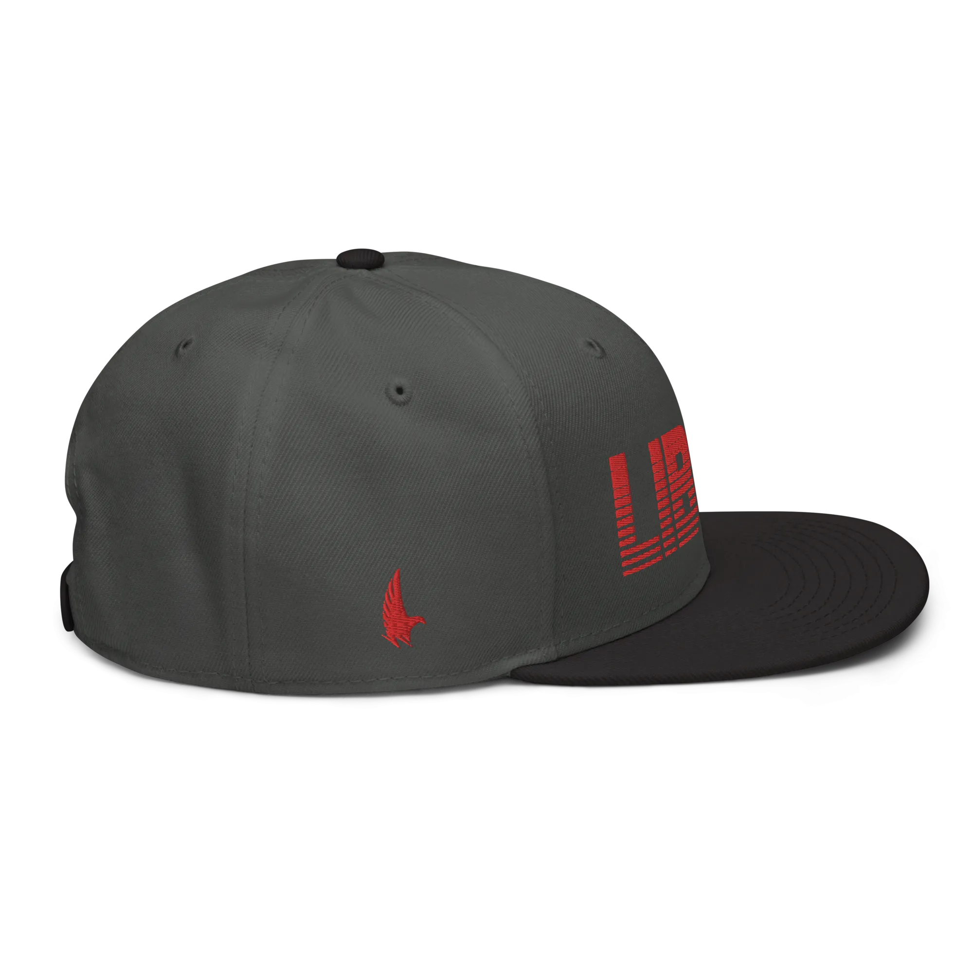 Libra Snapback Hat