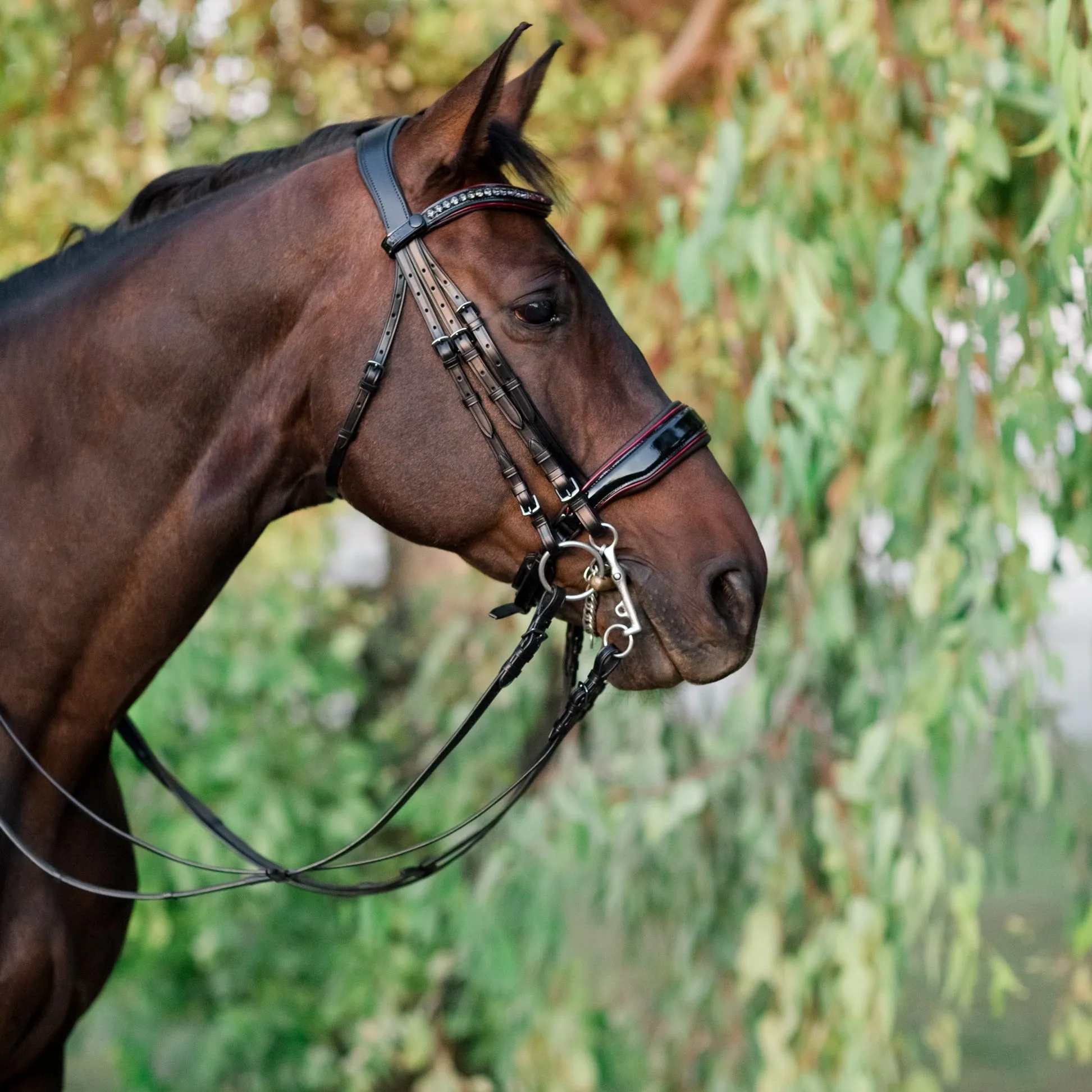 The Hayworth Double - Black Patent Double Bridle with Burgundy Patent Piping